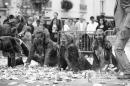 Monstre d humanite 22 * 4368 x 2912 * (4.26MB)
